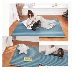 ALZIPMAT ALZIP Auto Self Air Picnic Mat